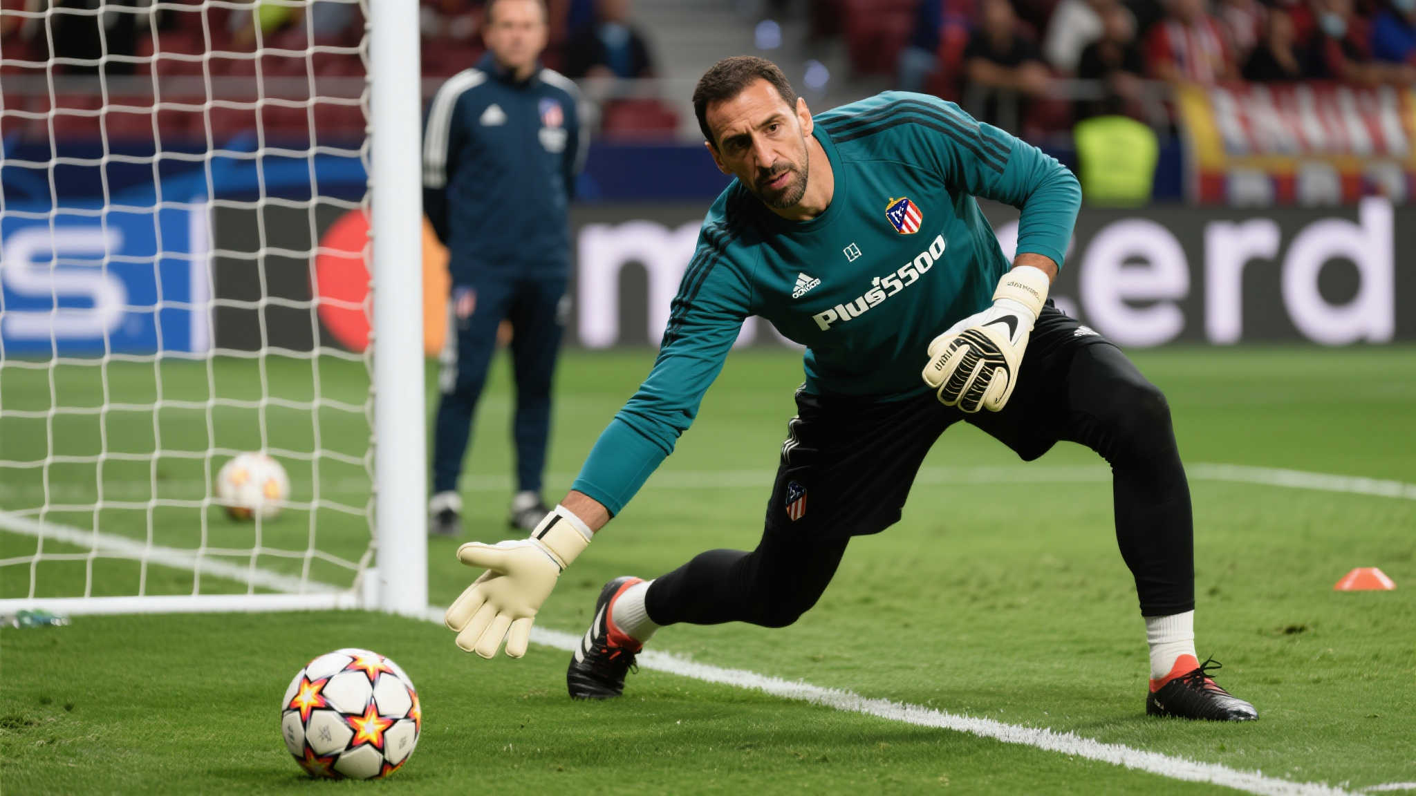 西海岸的比 西海岸的比